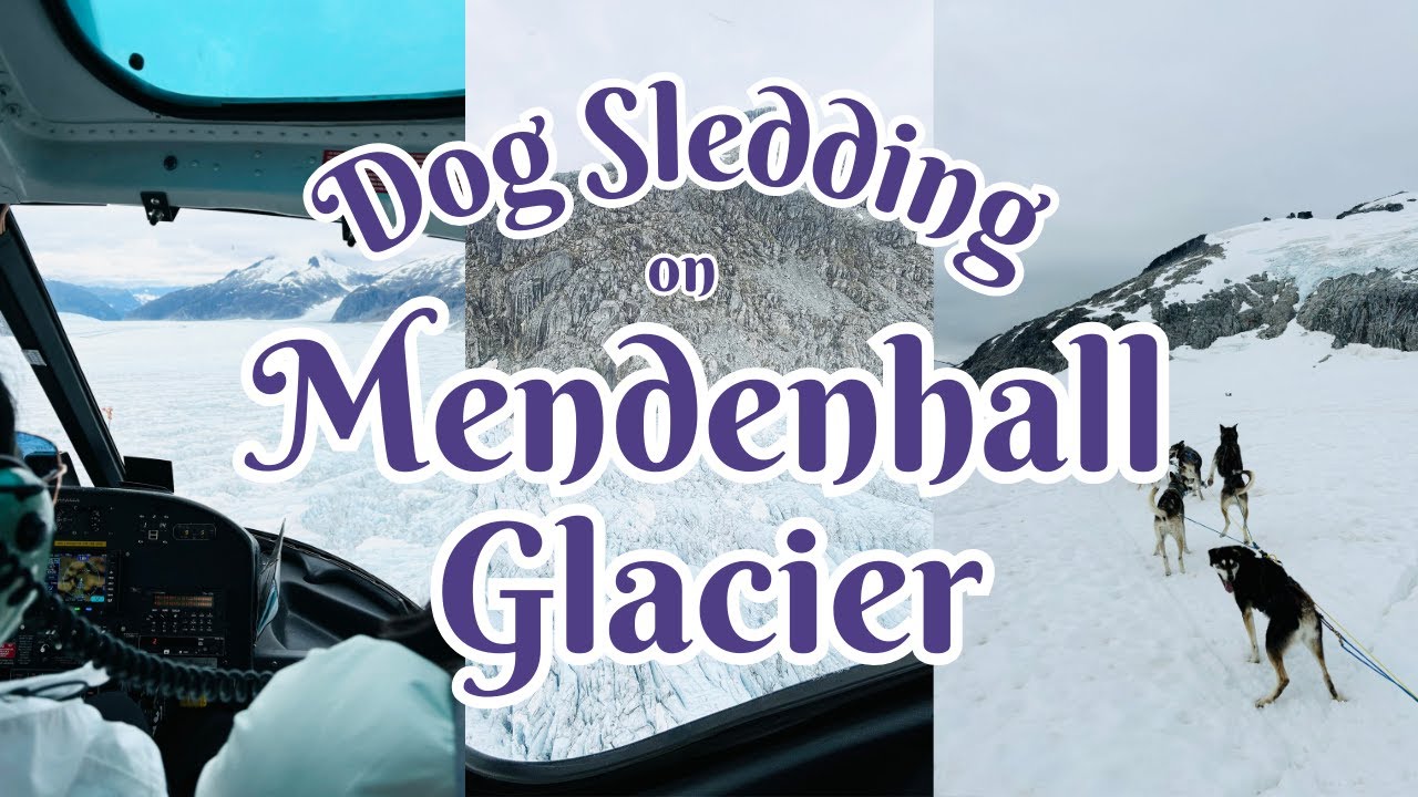 Dog Sledding on the Mendenhall Glacier | Alaskan Disney Cruise