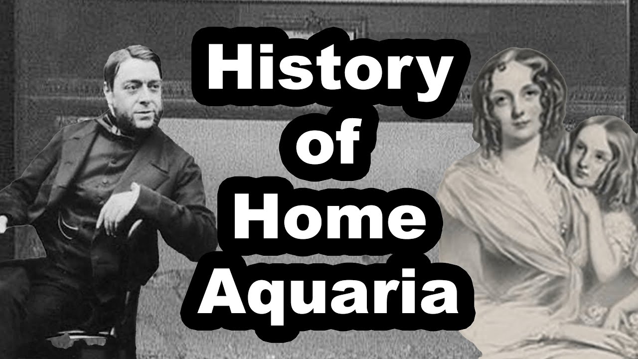 Fish Tank History PART ONE | Old Marine Aquariums