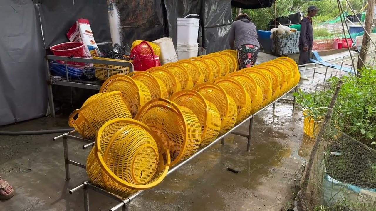 Quy trình thuốc thủy sản DK