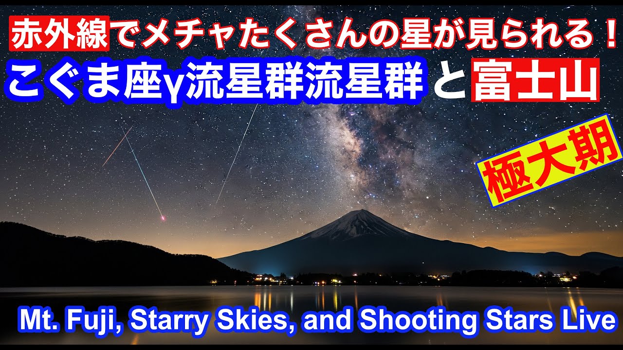 【LIVE】