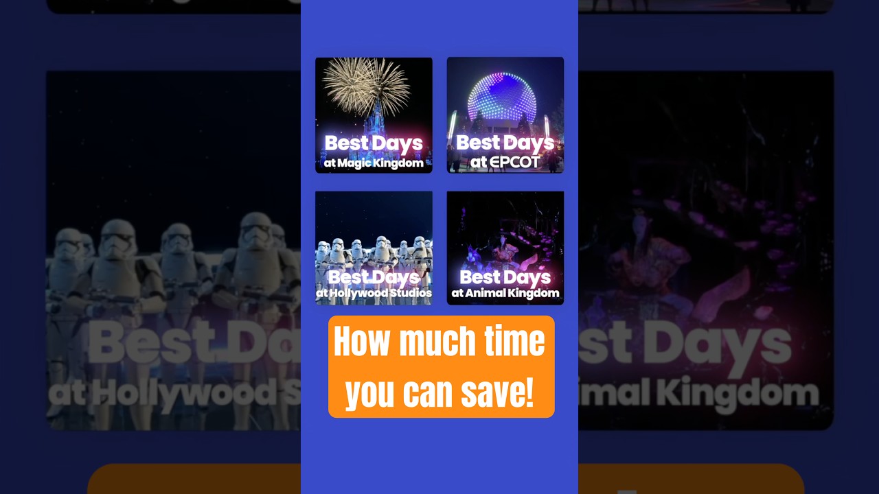 How much of a difference does day of the week make at Disney World? 📊 #disneyworld