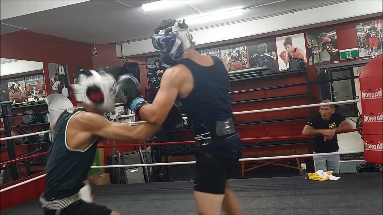 2. Sydney University General Purpose Boxing