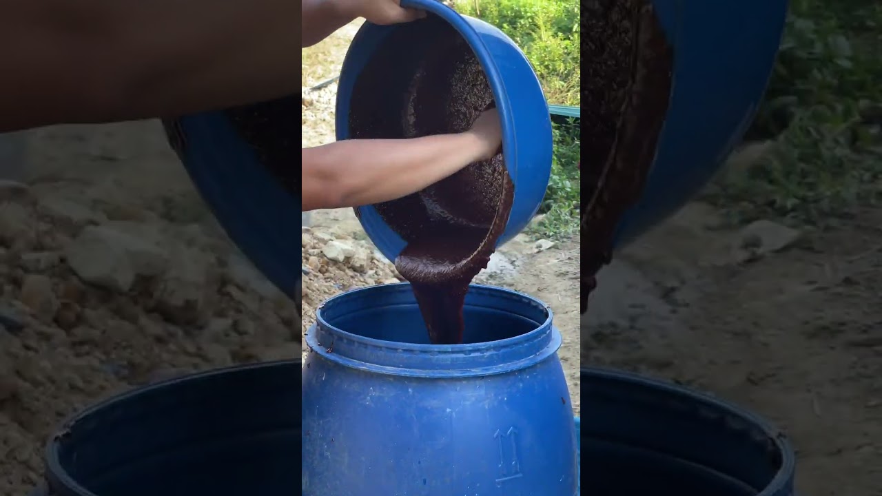 Cách làm men sử dụng để ủ thức ăn cho vật nuôi! Anh chị chưa hiểu có thể hỏi trực tiếp nhé!
