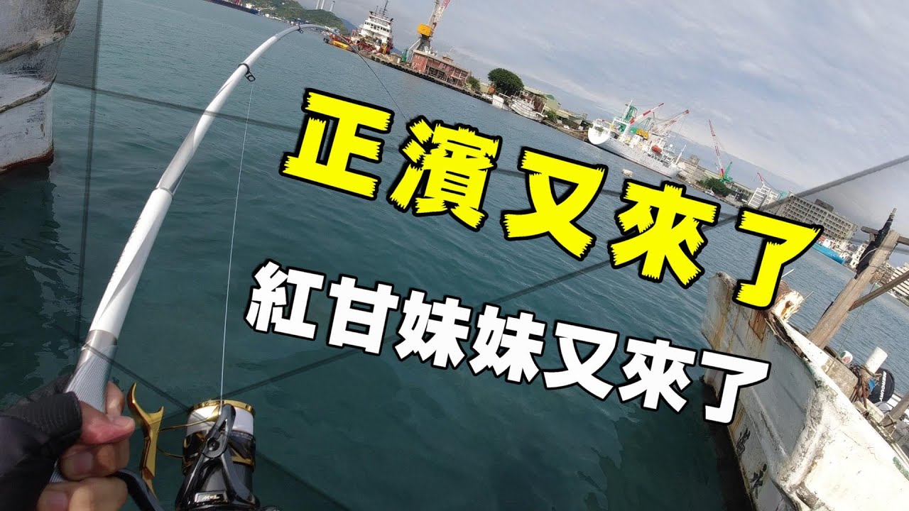正濱 紅甘妹妹又來了