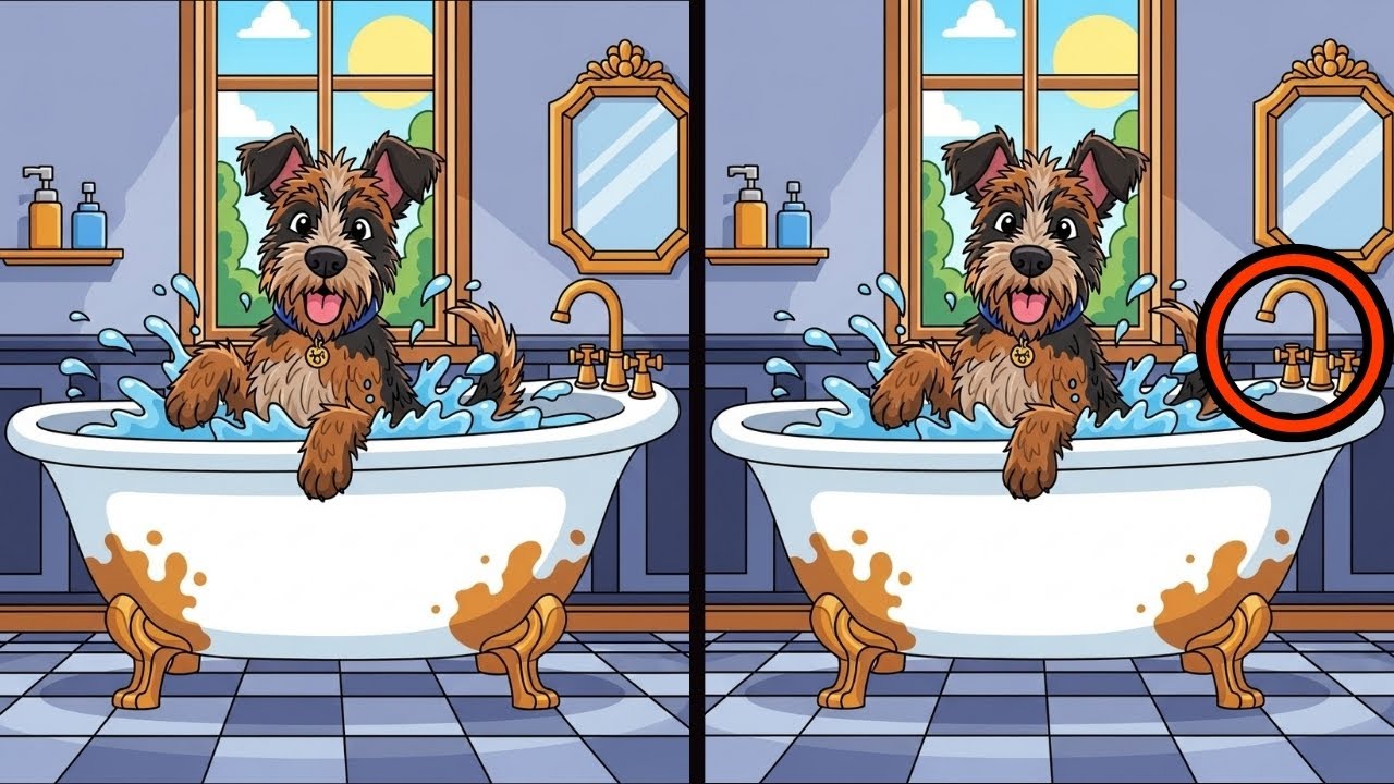 Spot the Difference | Find the Hidden Difference | Daily Puzzle #3