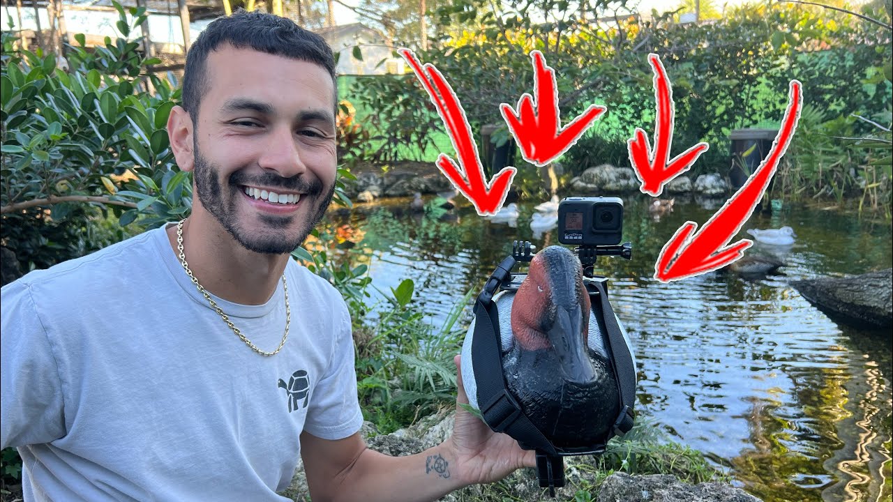 I STRAPPED a GoPro On a DUCK!