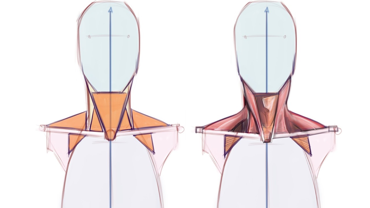 Stop Memorizing Anatomy, Use This Design Trick Instead
