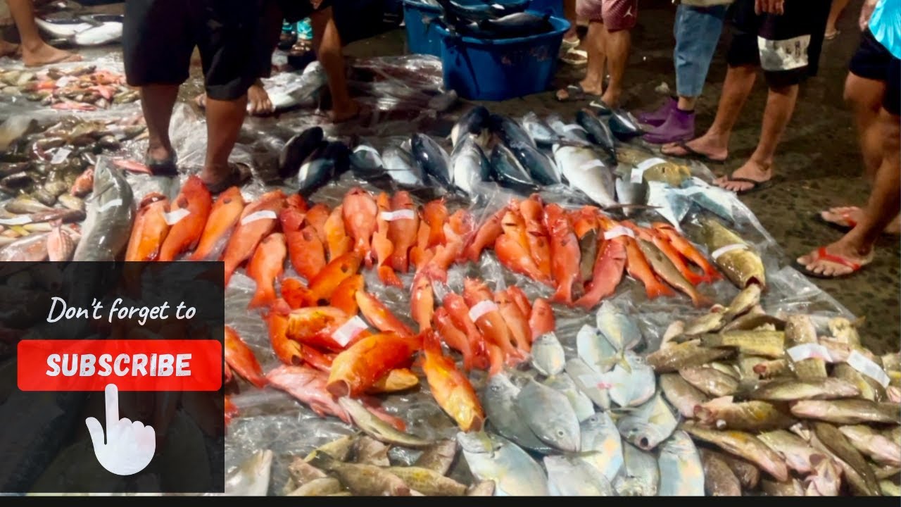 Mura at iba&rsquo;t ibang klase ng isda ang makikita dto sa port ng Atimonan Quezon❤️