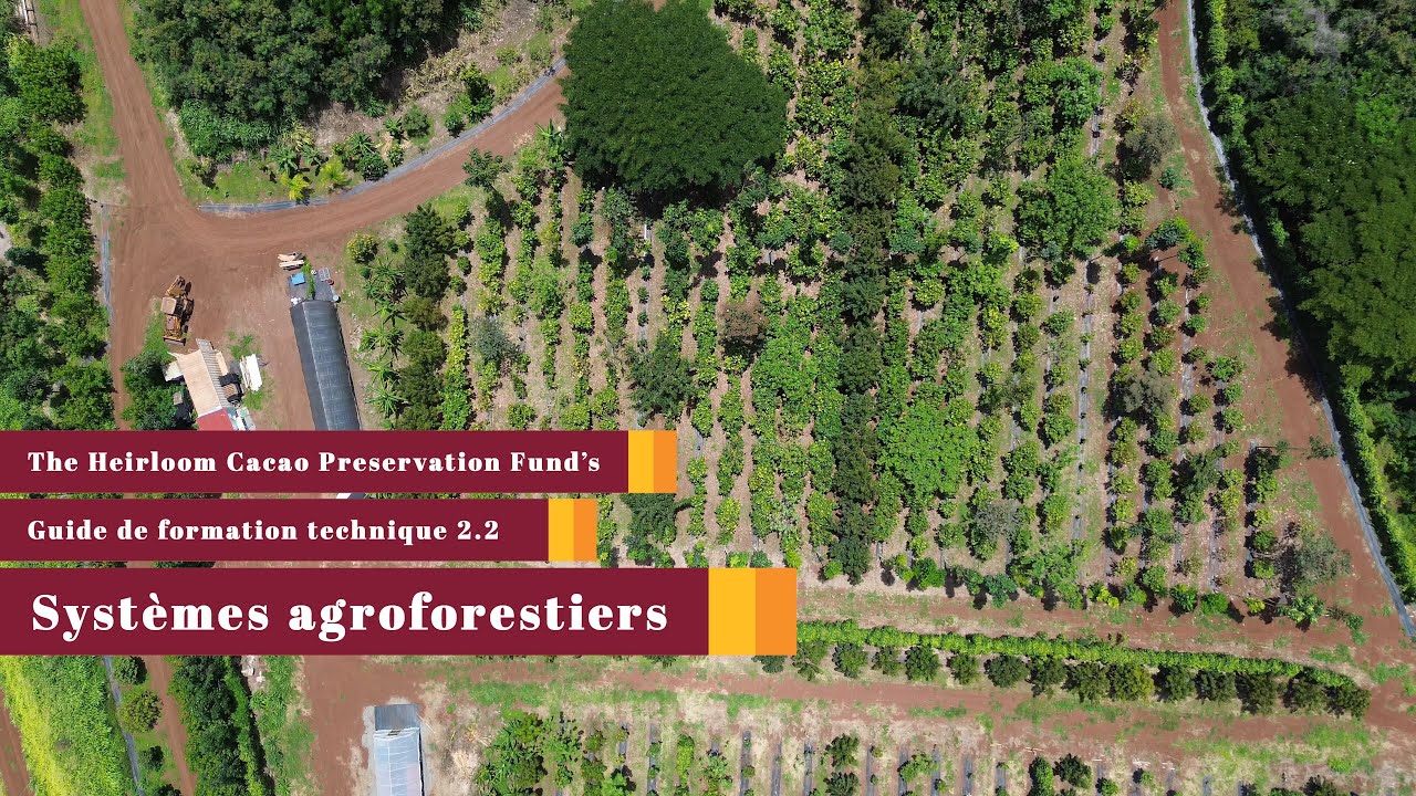 La parcelle partie 2.2 Systèmes agroforestiers