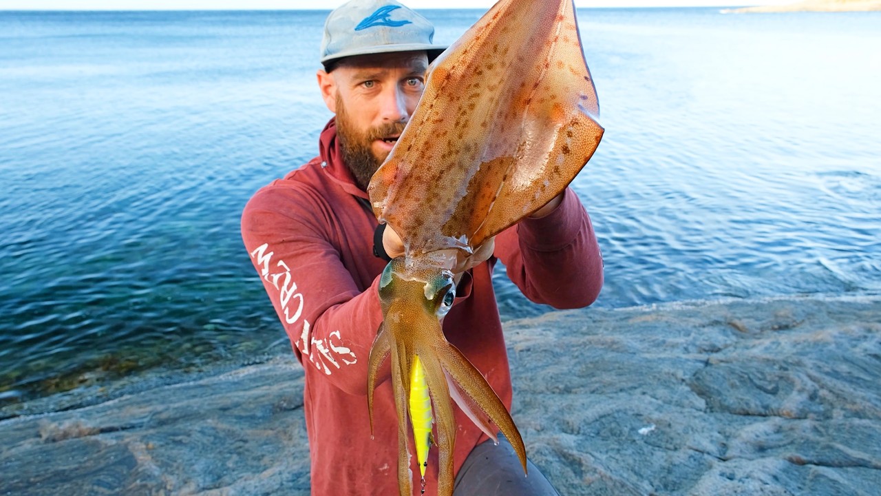 Epic South Coast Squid Session