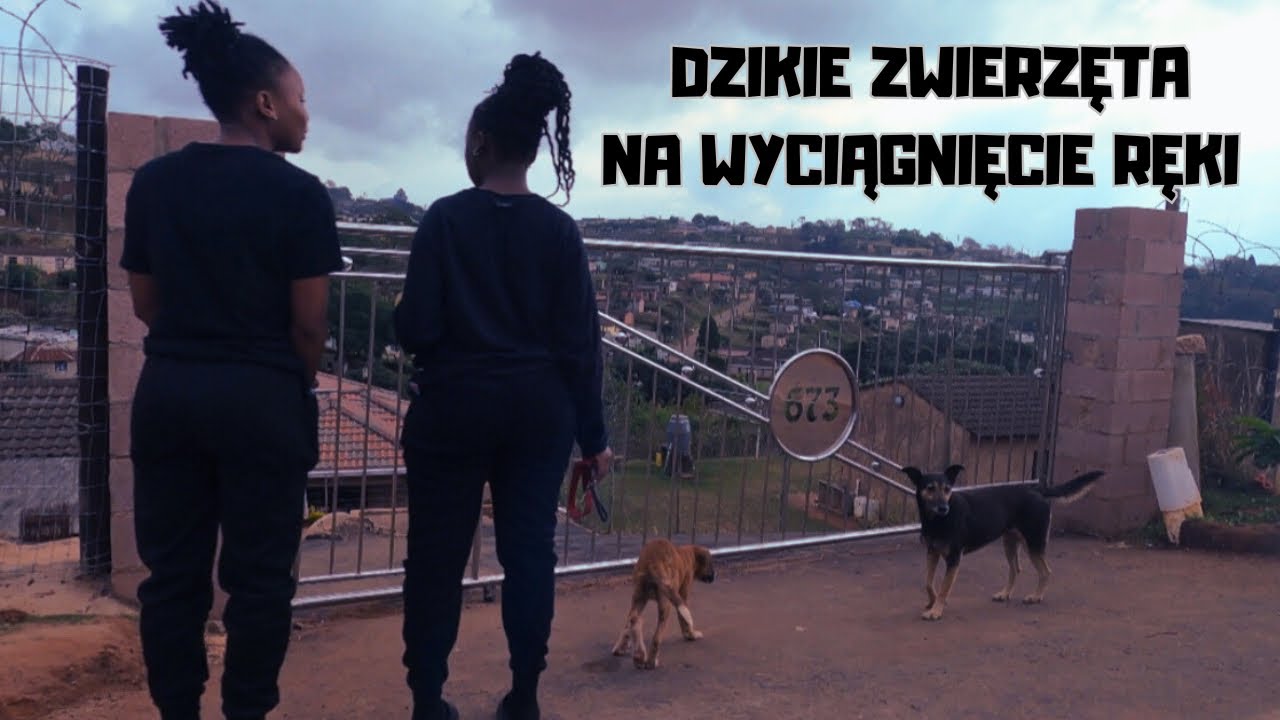 #36 Safari w Afryce! Czy bezpiecznie jest jeździć po wioskach w RPA? Piękny wodospad i wielkie fale!