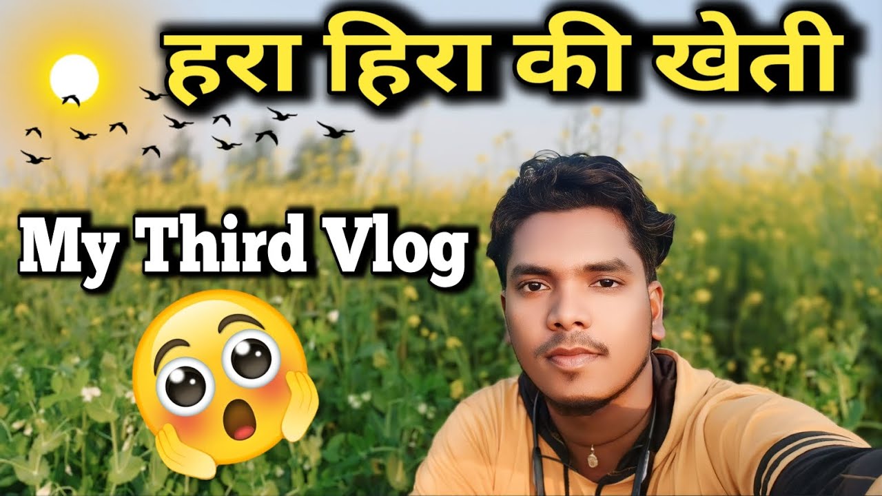 हरा हिरा कि खेती || My third vlog || Bandhan vlog up53 