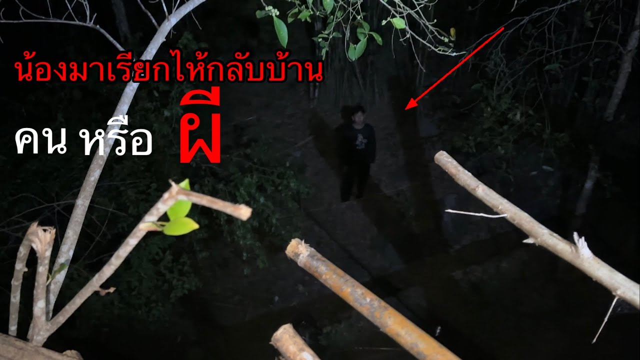 ชัดเจนที่สุดเท่าที่เคยเข้าป่ามา”น้องมาเรียกไห้กลับบ้านกลางดึก”คนหรือเสือสมิงแปลงกายมา!!!