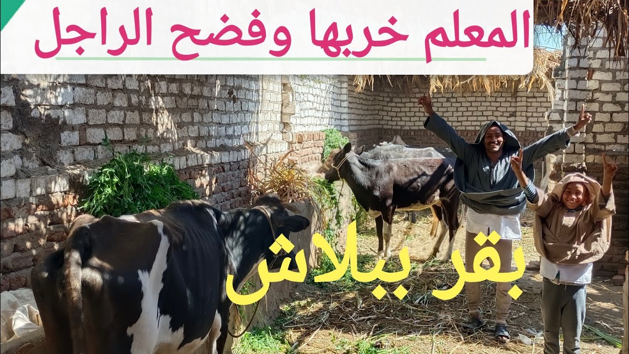 الله يبارك لكل تاجر قنوع ويخرب بيتك يا طماع اتفرجو علي الأسعار ١٣/ ٣/ ٢٠٢٥