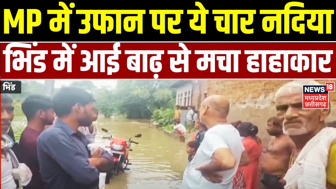 MP Flood Update : उफान पर चंबल, क्वारी, सिंध और बैसली नदी...भिंड में आई बाढ़ से मचा हाहाकार | Rain
