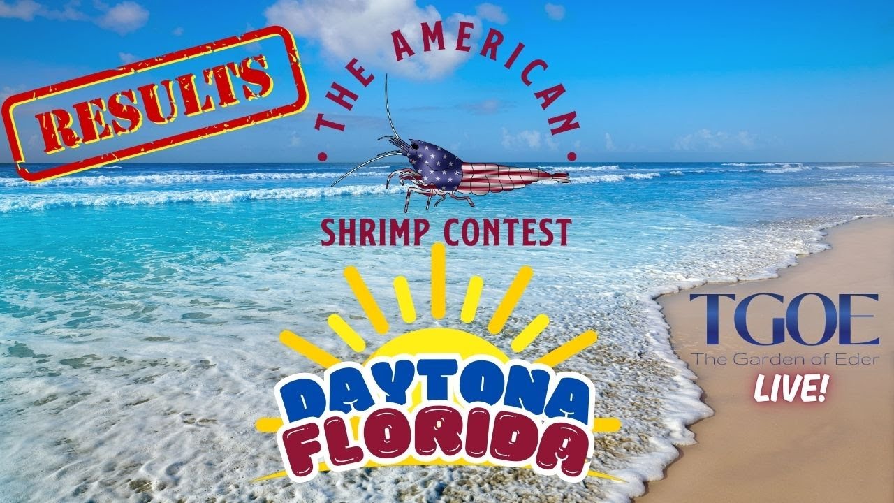 The American Shrimp Contest 2024 Daytona Florida Results