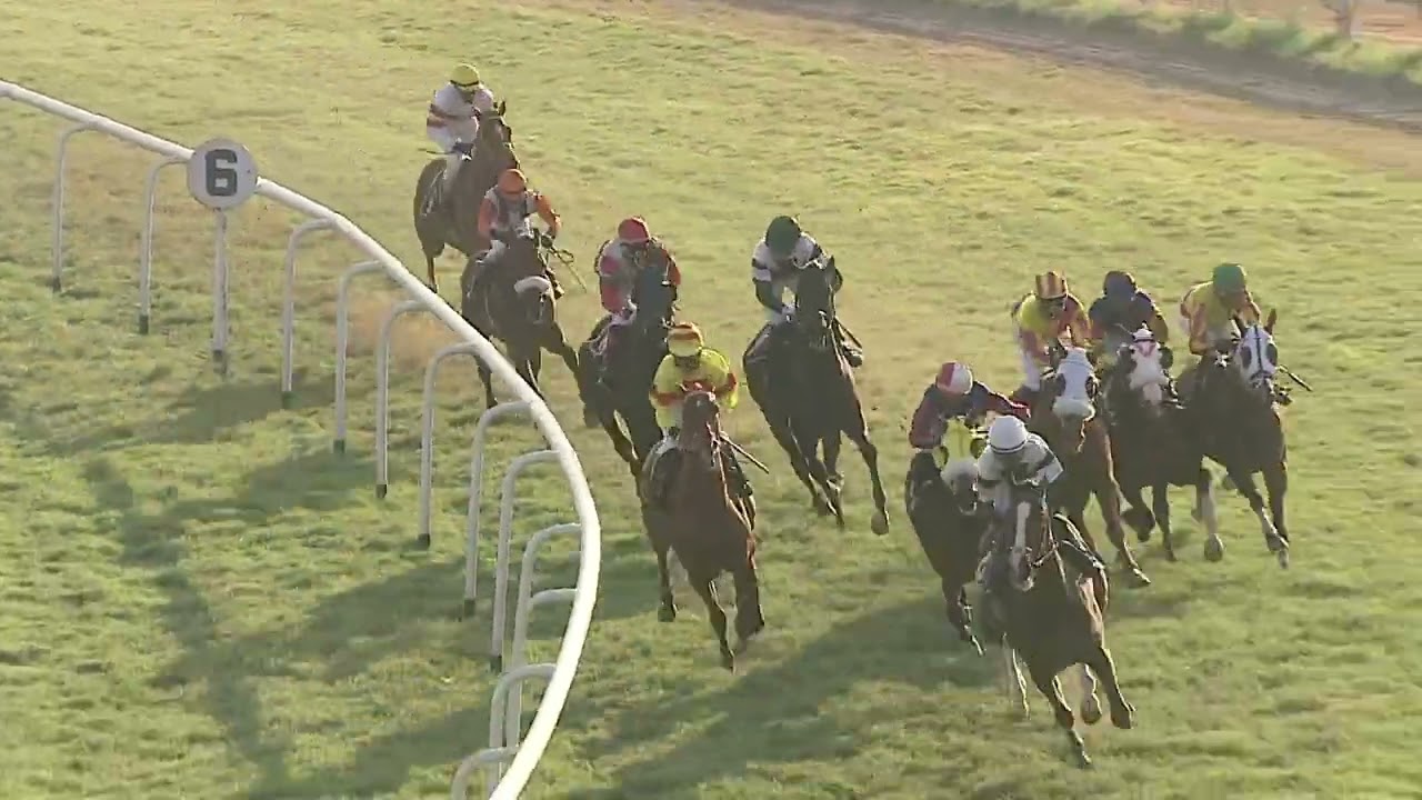 NATURAL GOLD with Aman up wins The Cochin Plate 2025 RACE 82