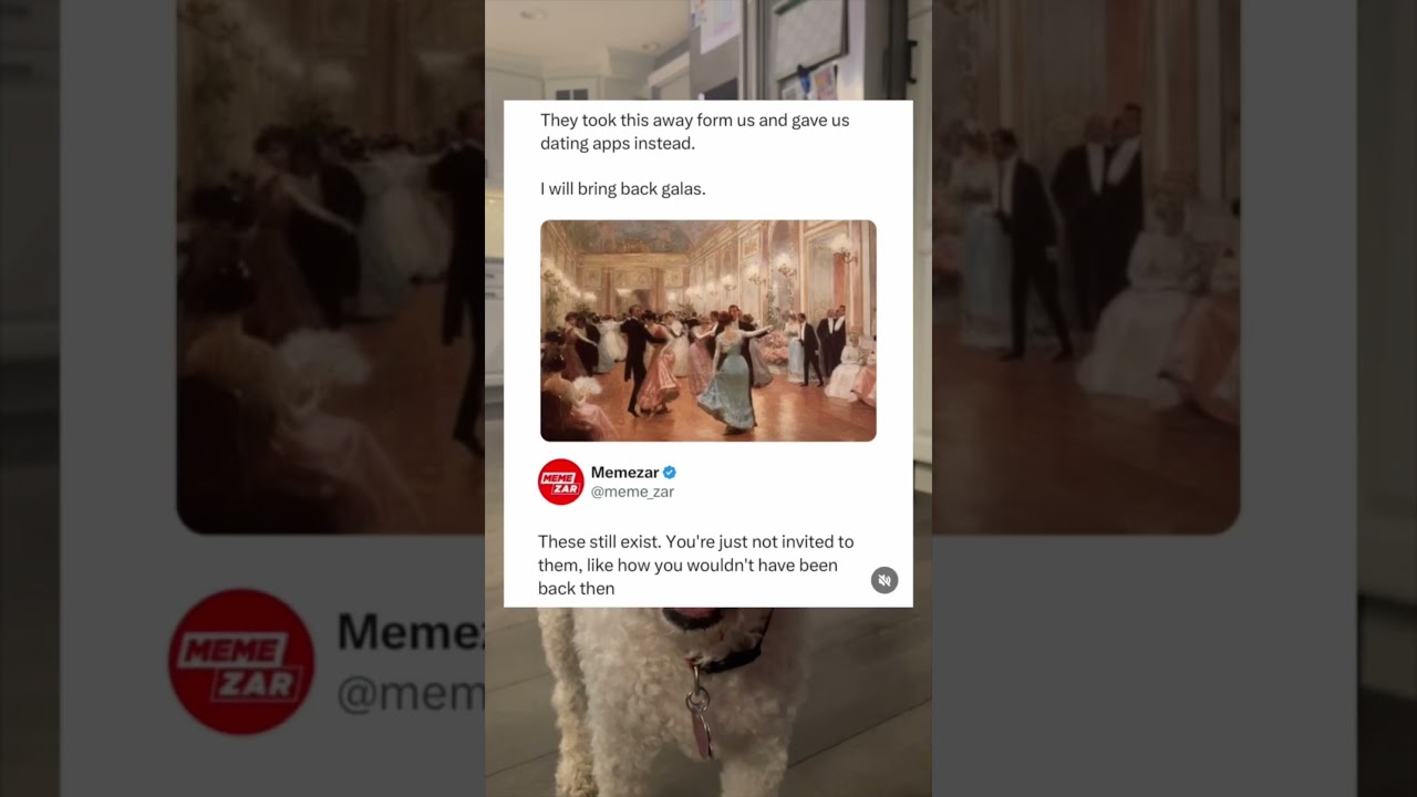 Yeah we are just not rich enough #memes #yt #funny #gala #memepage #memepages