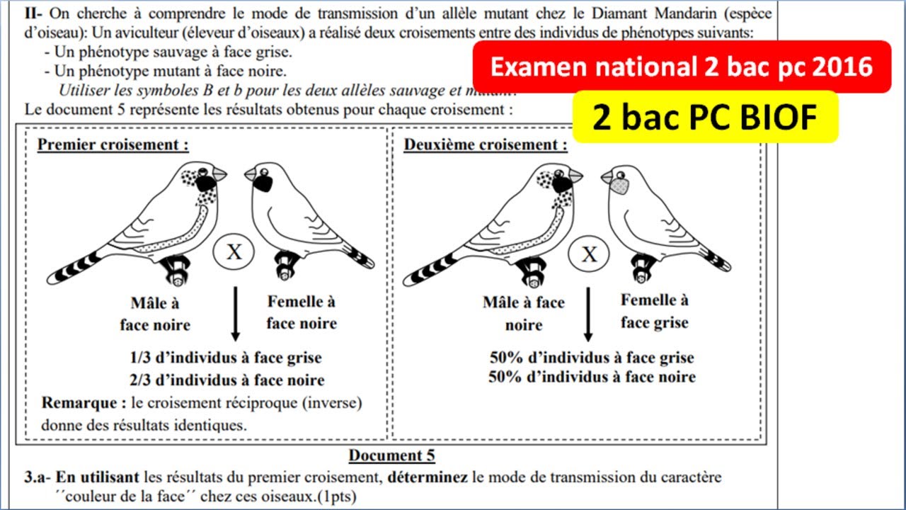 Examen national SVT 2 bac pc option français 2016 rattrapage (تصحيح بالداريجة)