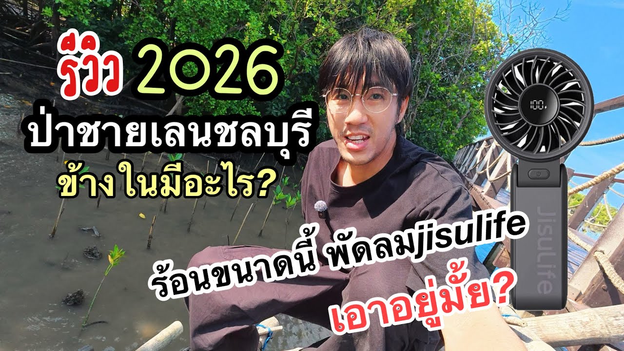 ป่าชายเลน ชลบุรี มีอะไร #ป่าชายเลน #เที่ยวชลบุรี 