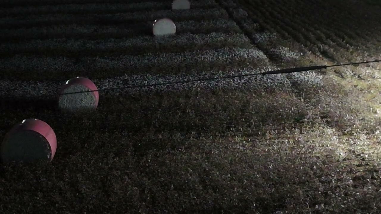 Collins Farms Cotton Harvest 2025 - Night Harvesting 3
