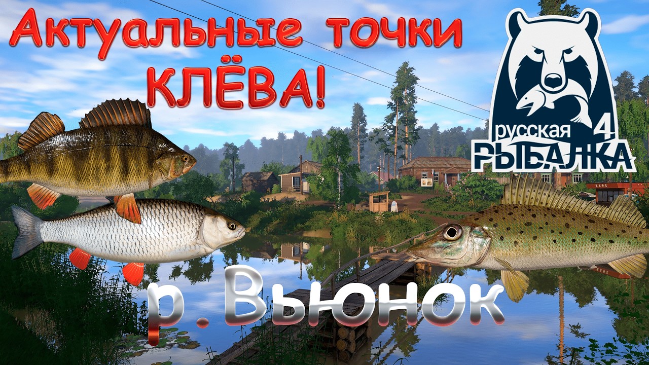 Актуальные точки клева на реке Вьюнок. Актуально на 20.02.2026. Русская рыбалка 4.
