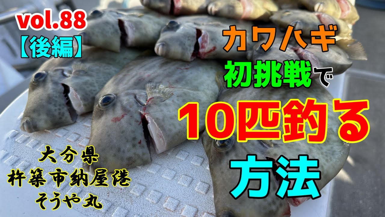 つれつりvol.88【後編】カワハギ初挑戦で10匹釣る方法！inそうや丸