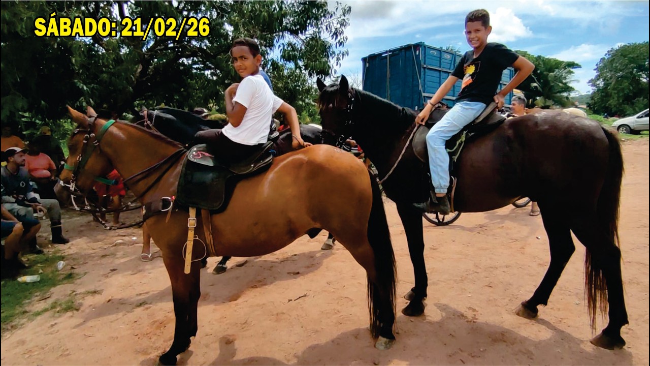 FEIRA DE CAVALO E ANIMAIS DE ABREU E LIMA-PE SÁBADO: 21/02/26 COM ACESSÓRIOS E MAIS #cavalo