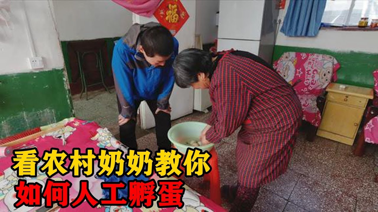 看看农村奶奶不用老母鸡如何在家孵小鸡的？这招真牛，令人开眼了【三农小峰】
