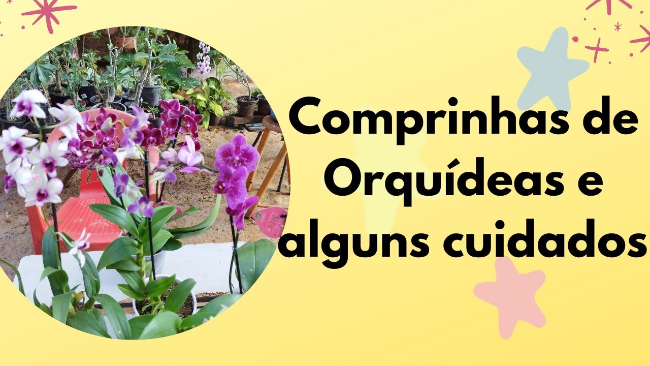 Comprinhas de orquídeas e alguns cuidados?