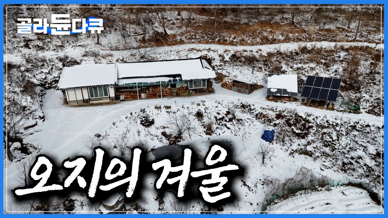 눈이 폭폭 내리는 겨울이 되면 고독과 고립의 정점을 찍는다. 깊은 산골 어느 곰배령 노부부의 설국｜눈 오는 겨울이면 더 살맛 난다. 산골 오지 마을 사람들｜한국기행｜#골라듄다큐