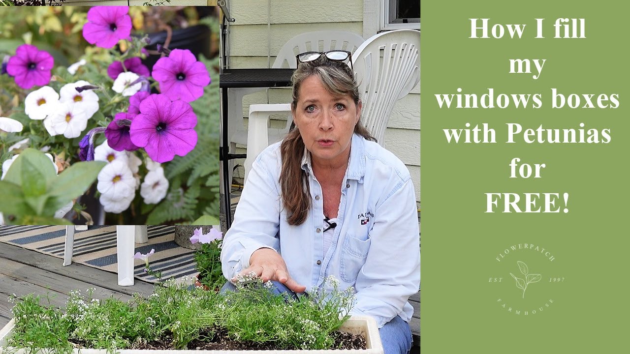 Plant Window Boxes for Free