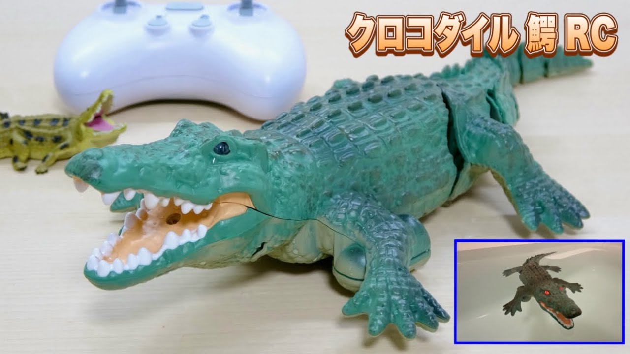 ワニの泳ぎがリアル過ぎ🐊 クロコダイル 鰐 RC