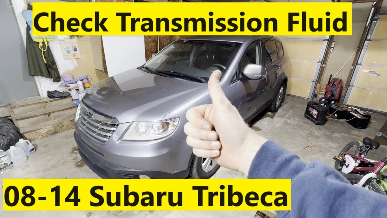 Как проверить уровень трансмиссионной жидкости Subaru Tribeca 08 09 10 11 12 13 14 2008 2009 2010...
