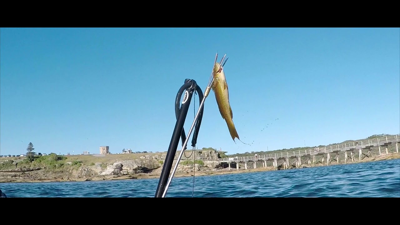 19Jan2018: Spearfishing Bare Island