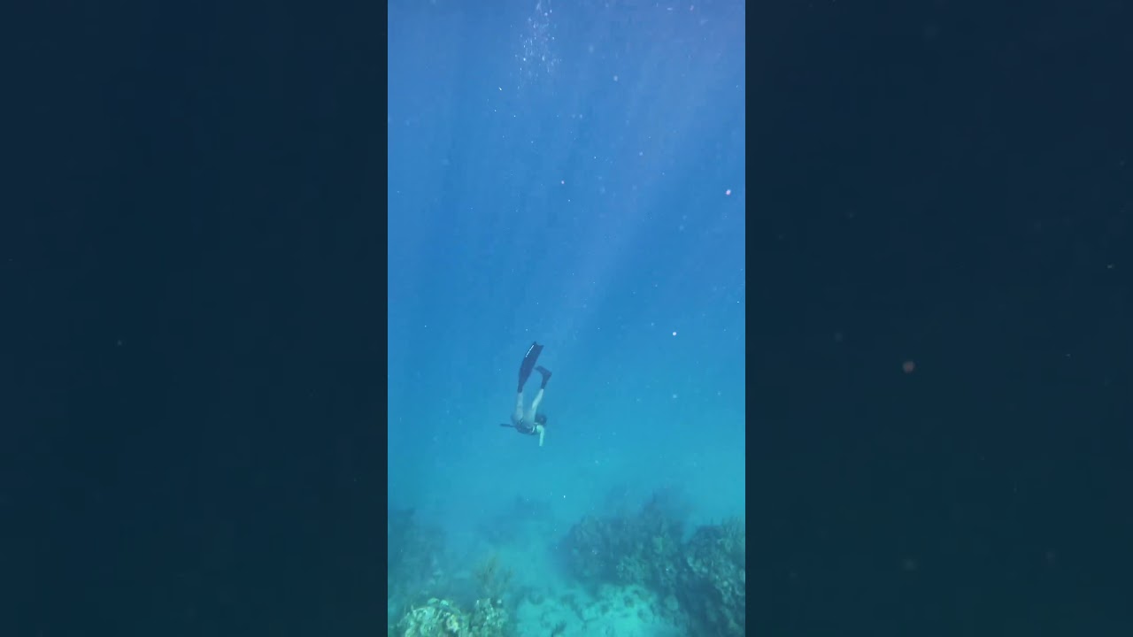 Diving Into the Ocean! #feliciawithfins #girlsthatfreedive #underwatervideos #mermaidlife