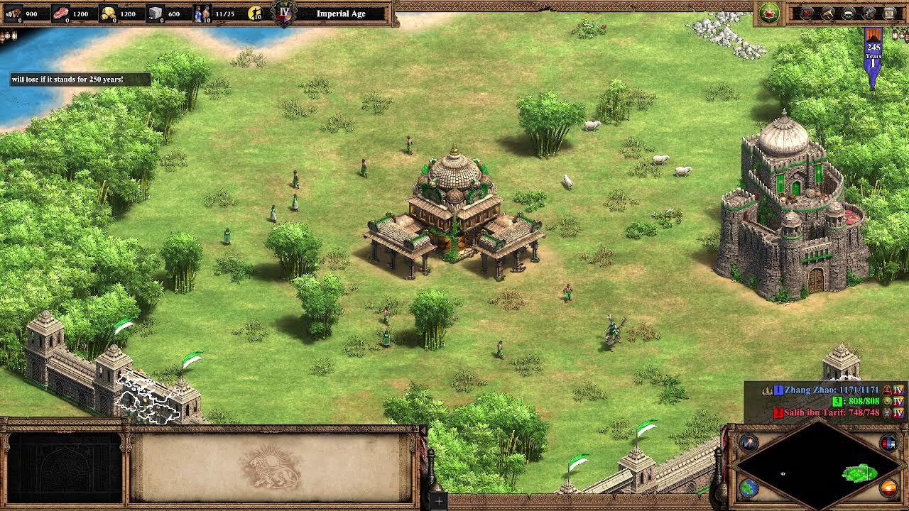 Age of Empires II - Definitive Edition No Team