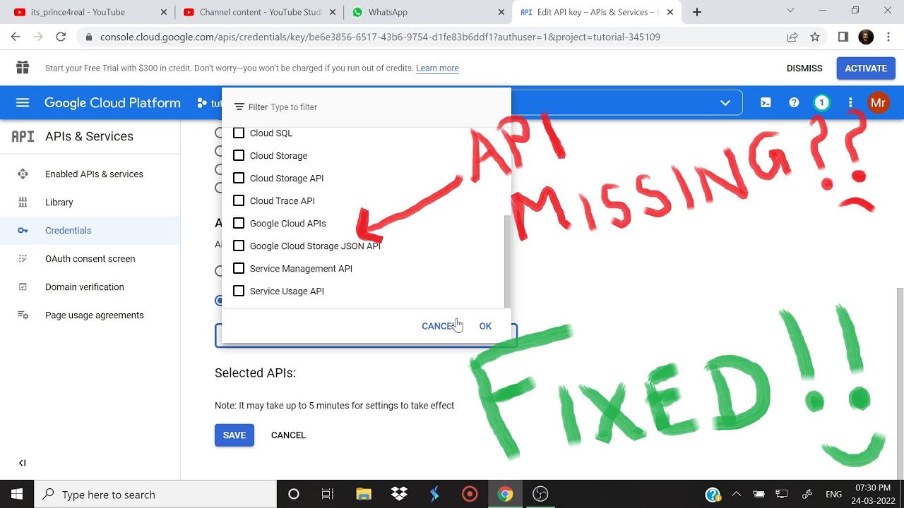 How to enable api restrictions | how to create api key | google sheets api missing fixed | tutorial