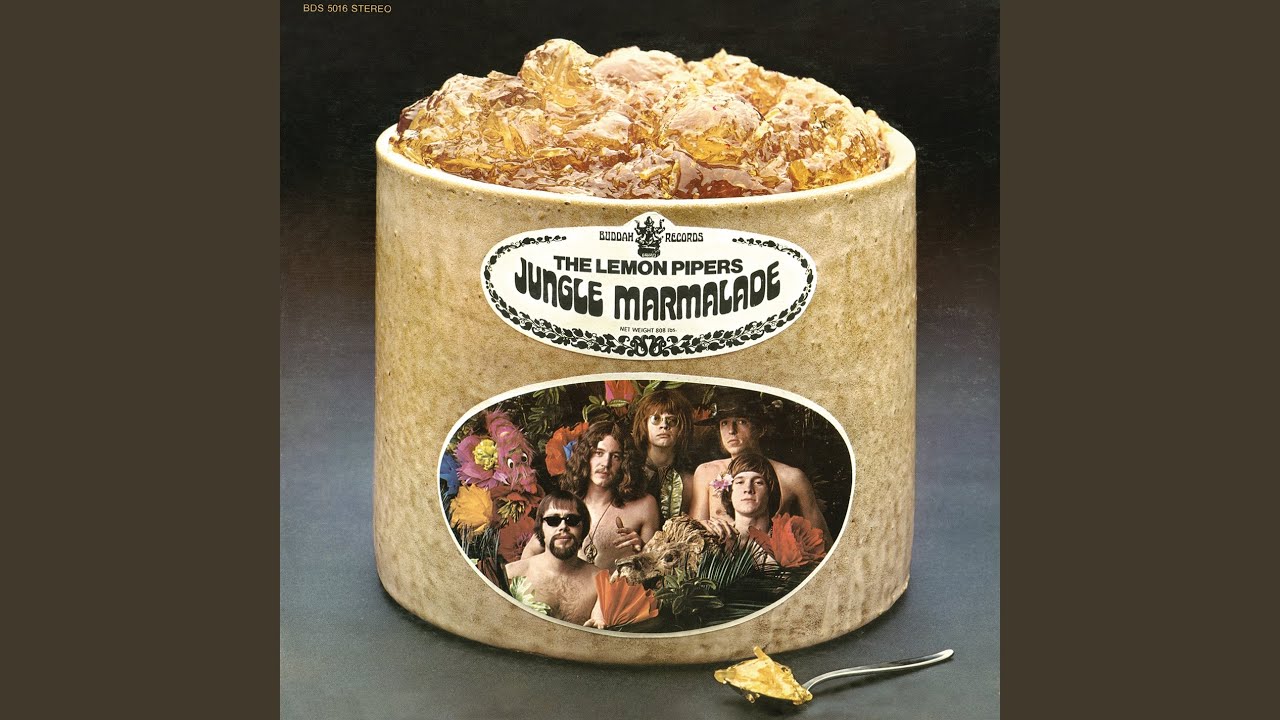 Jelly Jungle (Of Orange Marmalade)