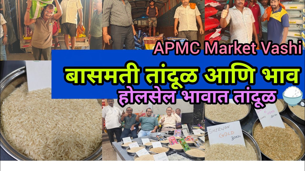 😍 बासमती तांदूळ प्रकार आणि भाव Wholesale Basmati Rice 🍚 APMC Market Vashi  Navi Mumbai 