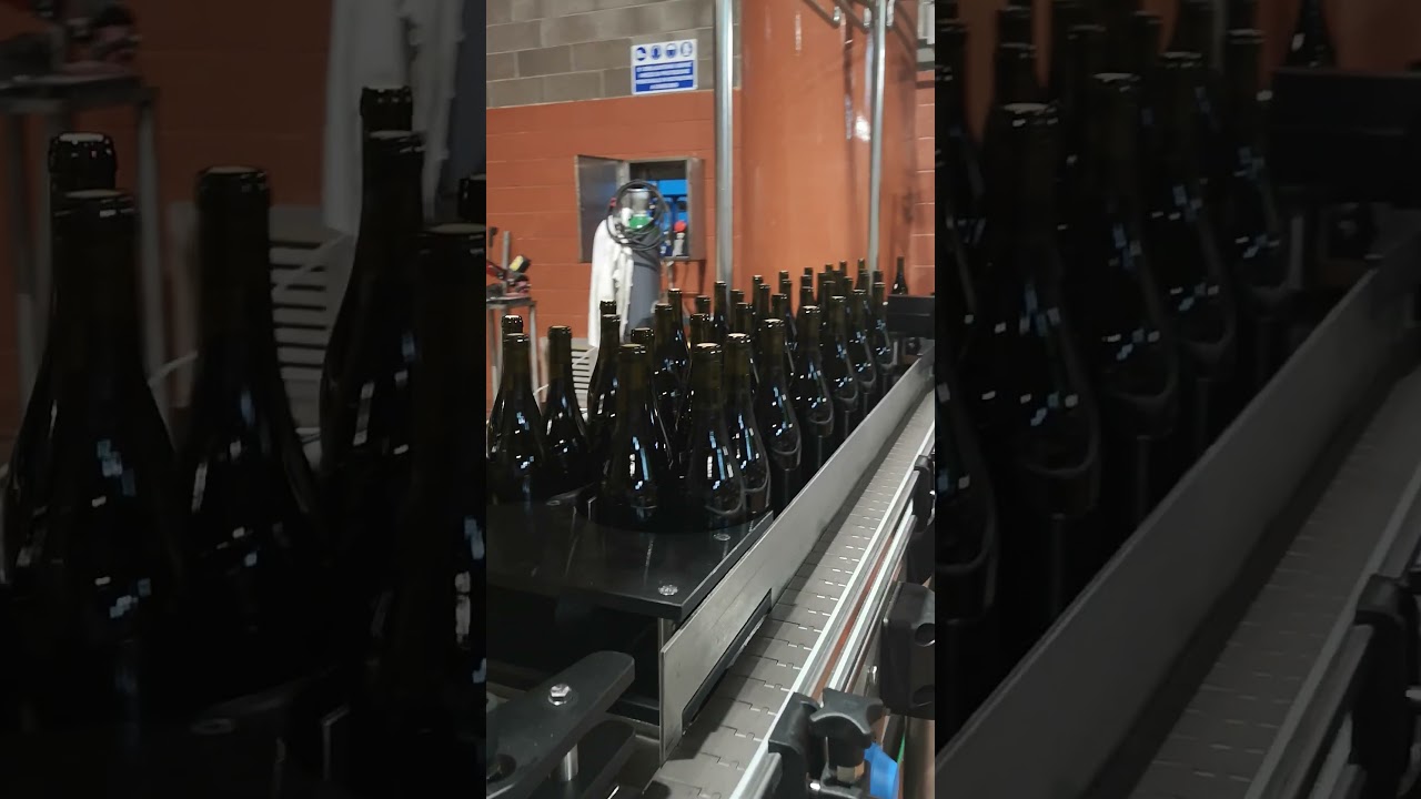 BAGLIO DI PIANETTO - Collaudo Imbottigliamento e Packging