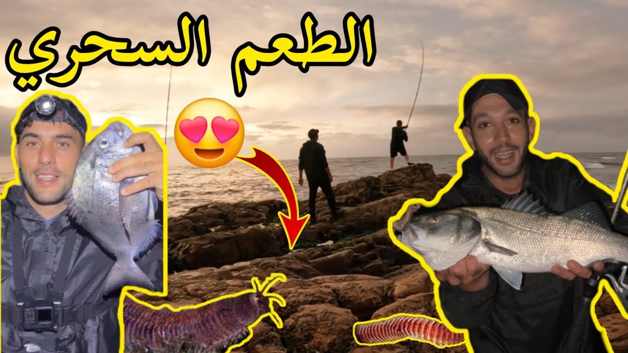 الصدمة الكبرى: جميع الأنواع بطُعم واحد 🤯#fhising #صيد #صيد_السمك #surfcasting #rais_papay #seabass 