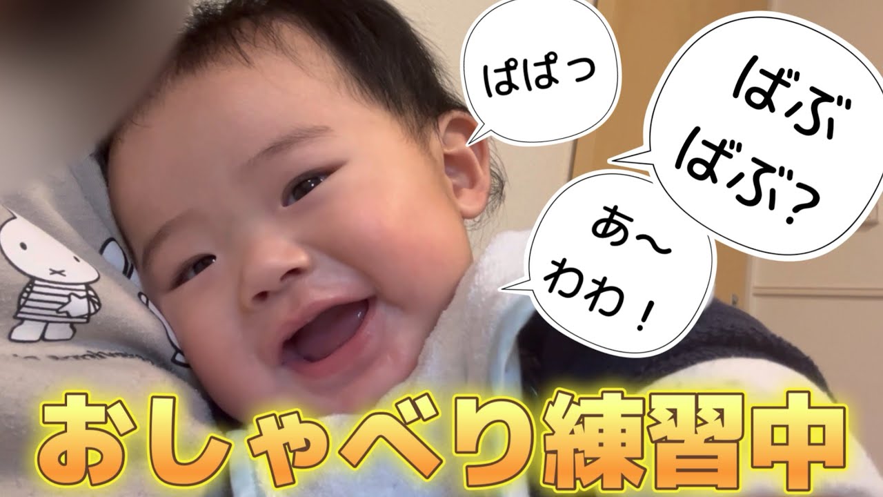 【赤ちゃん｜生後７ヶ月】めっちゃおしゃべりするようになった