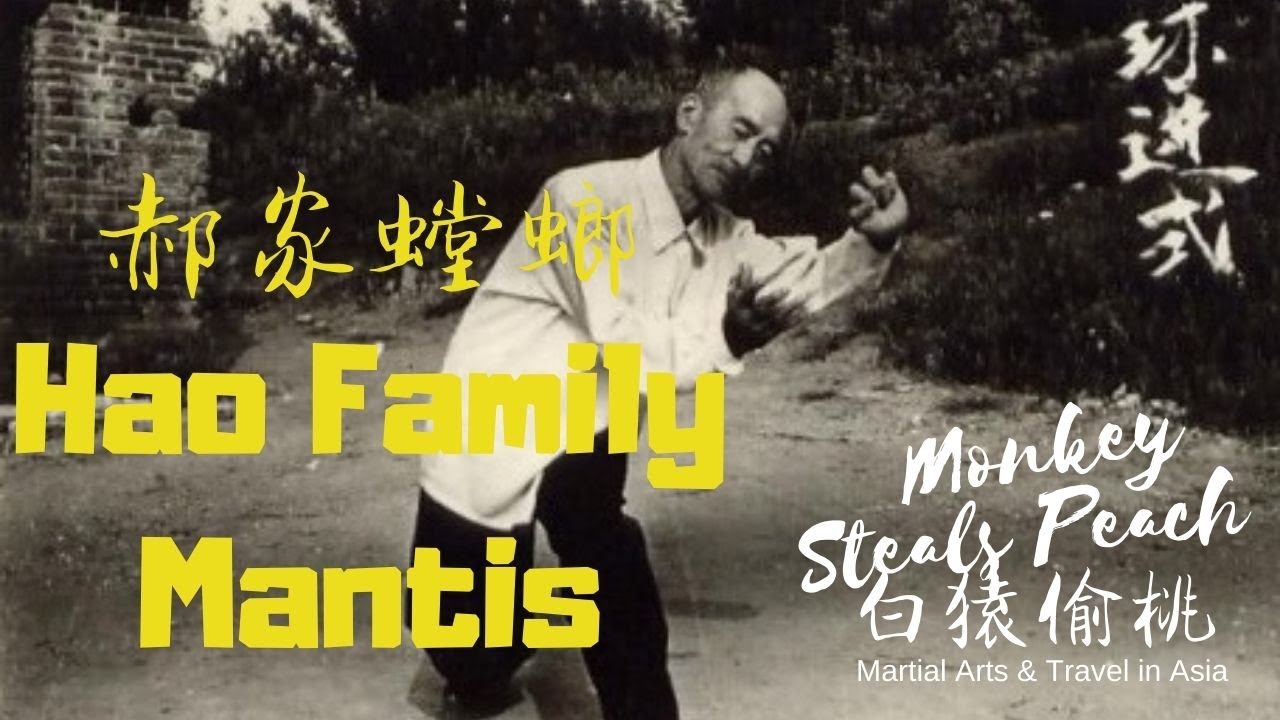 Introduction to Hao Family Mantis (Taiji Meihua Mantis)
