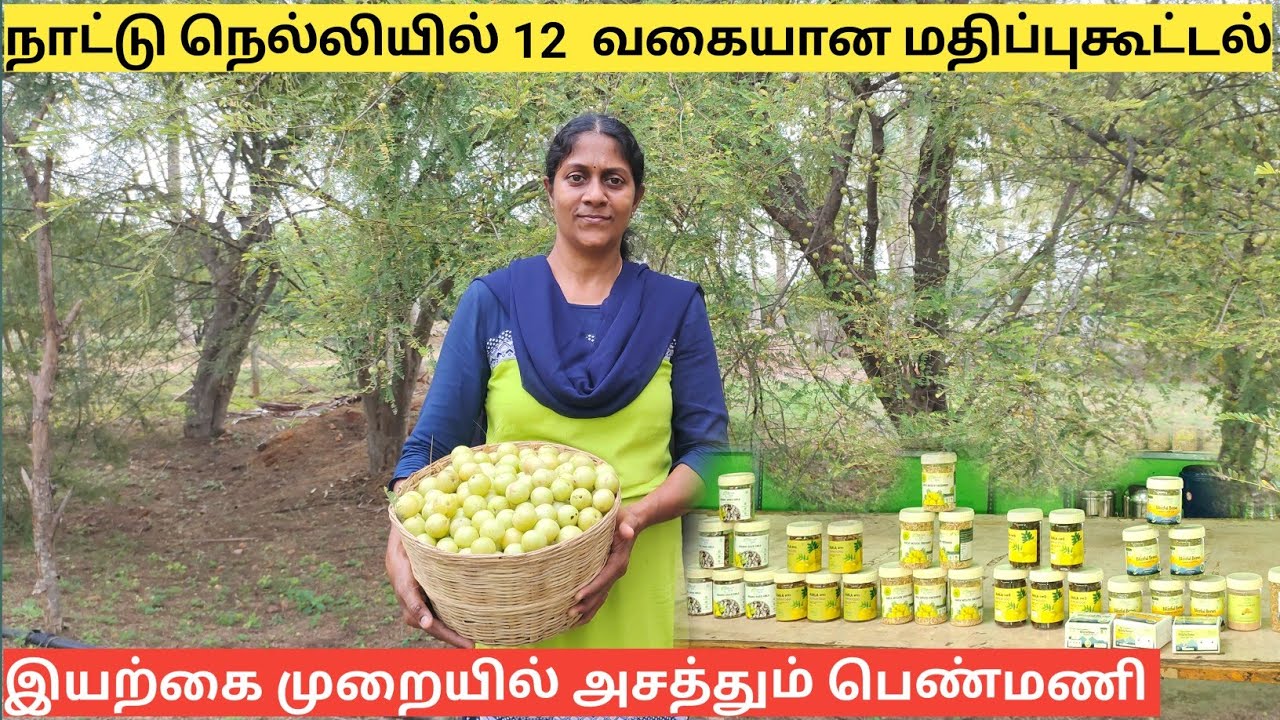 நாட்டு நெல்லியில் 12 வகையான மதிப்புகூட்டல்| நெல்லி விவசாயத்தில் கலக்கும் ஐடி பட்டதாரி |Amla farming