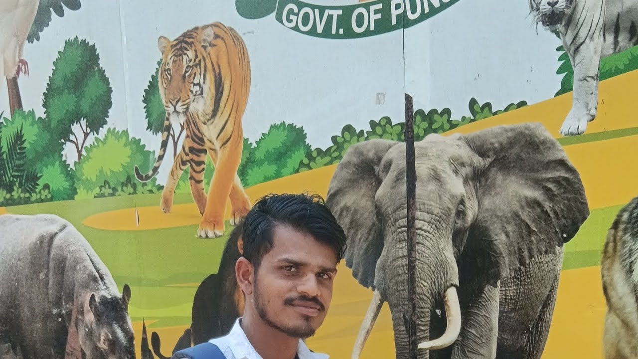 Chhatbir Zoo Mohali Punjab 