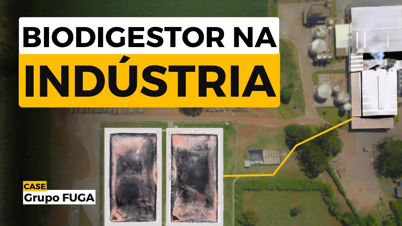 BIODIGESTOR NA INDÚSTRIA: 🔥Vale a pena substituir lenha por biogás ?
