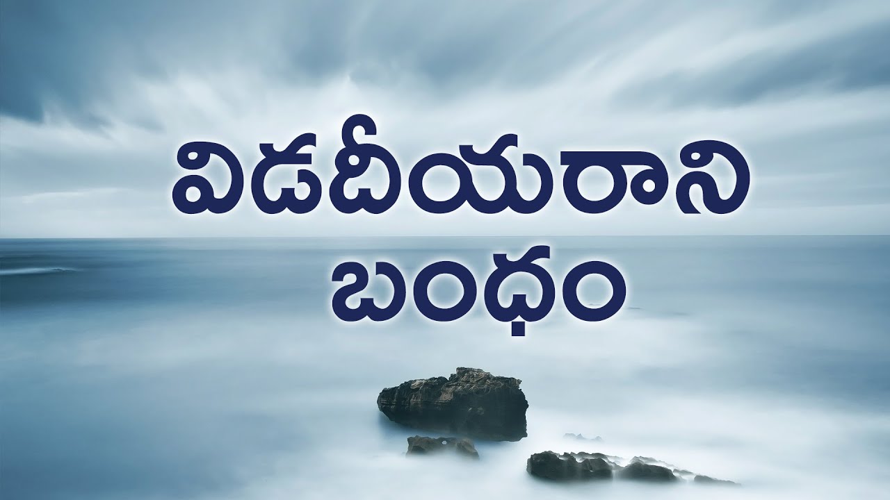 విడదీయరాని బంధం | Meditation | Daaji | Heartfulness | Heartful Music