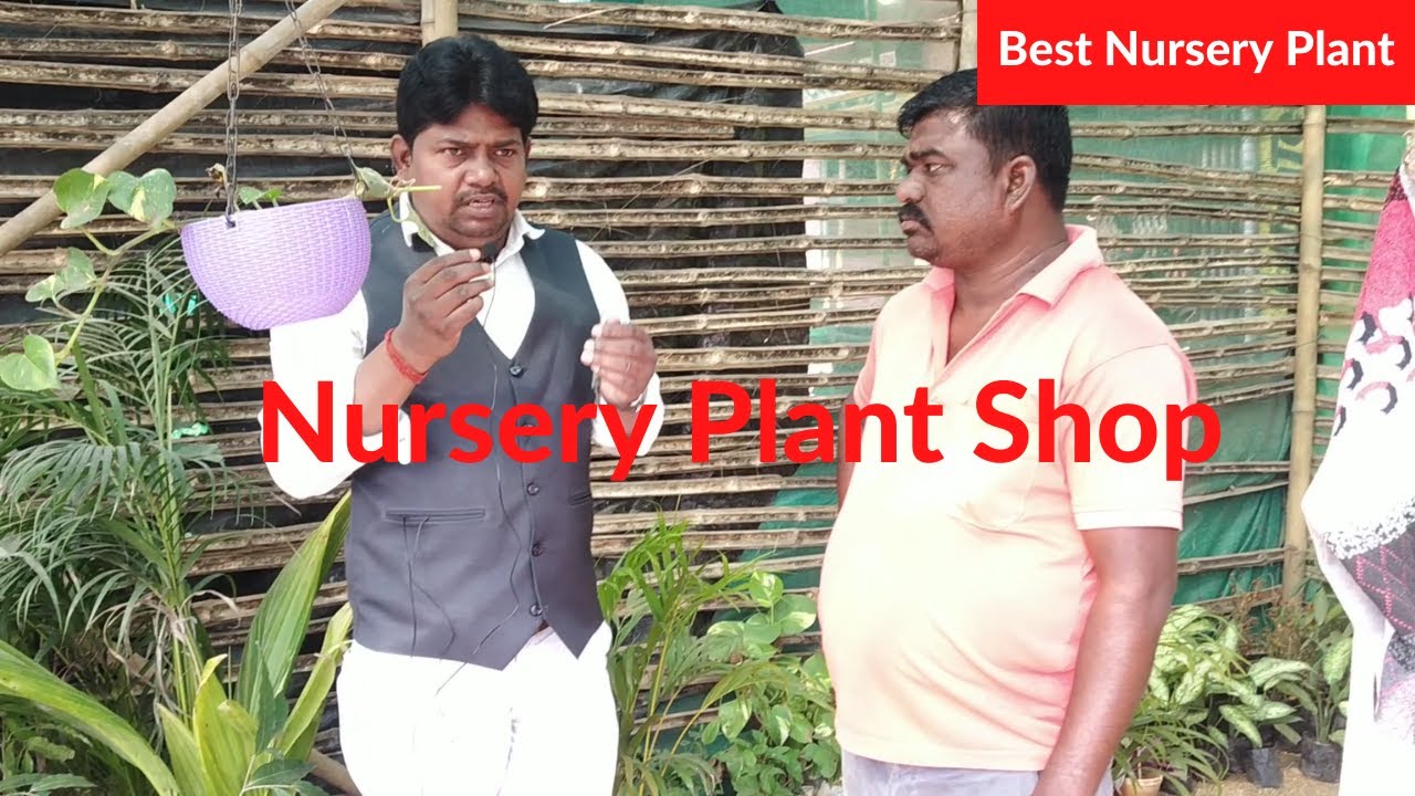 Visit to Plant  Nursery | Plant Nursery Visit | Fruits Plant Nursery Visit | Nursery Plant