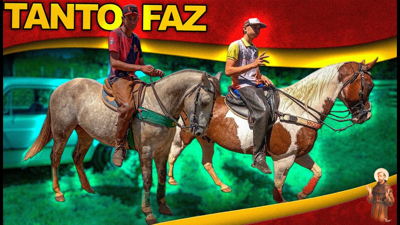 Nossos cavalos de vaquejada juntos